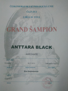anttara--grand-sampion.png