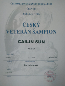 cailin-veteran-sampion.png